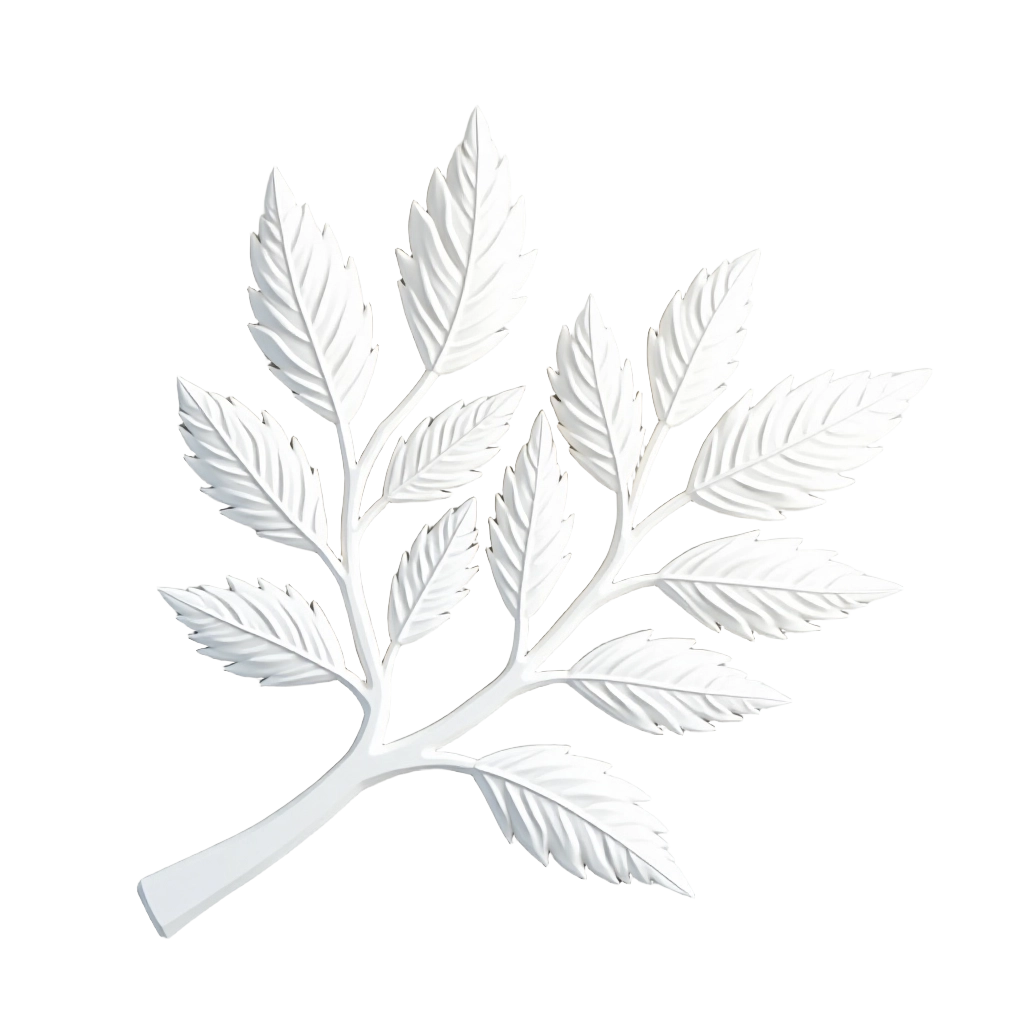 White Leafy Branch Illustration